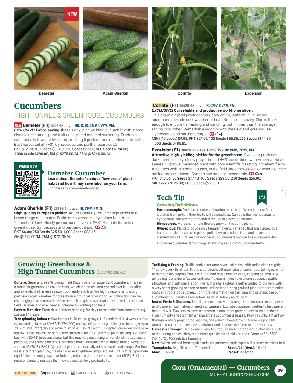 Flyer page 31