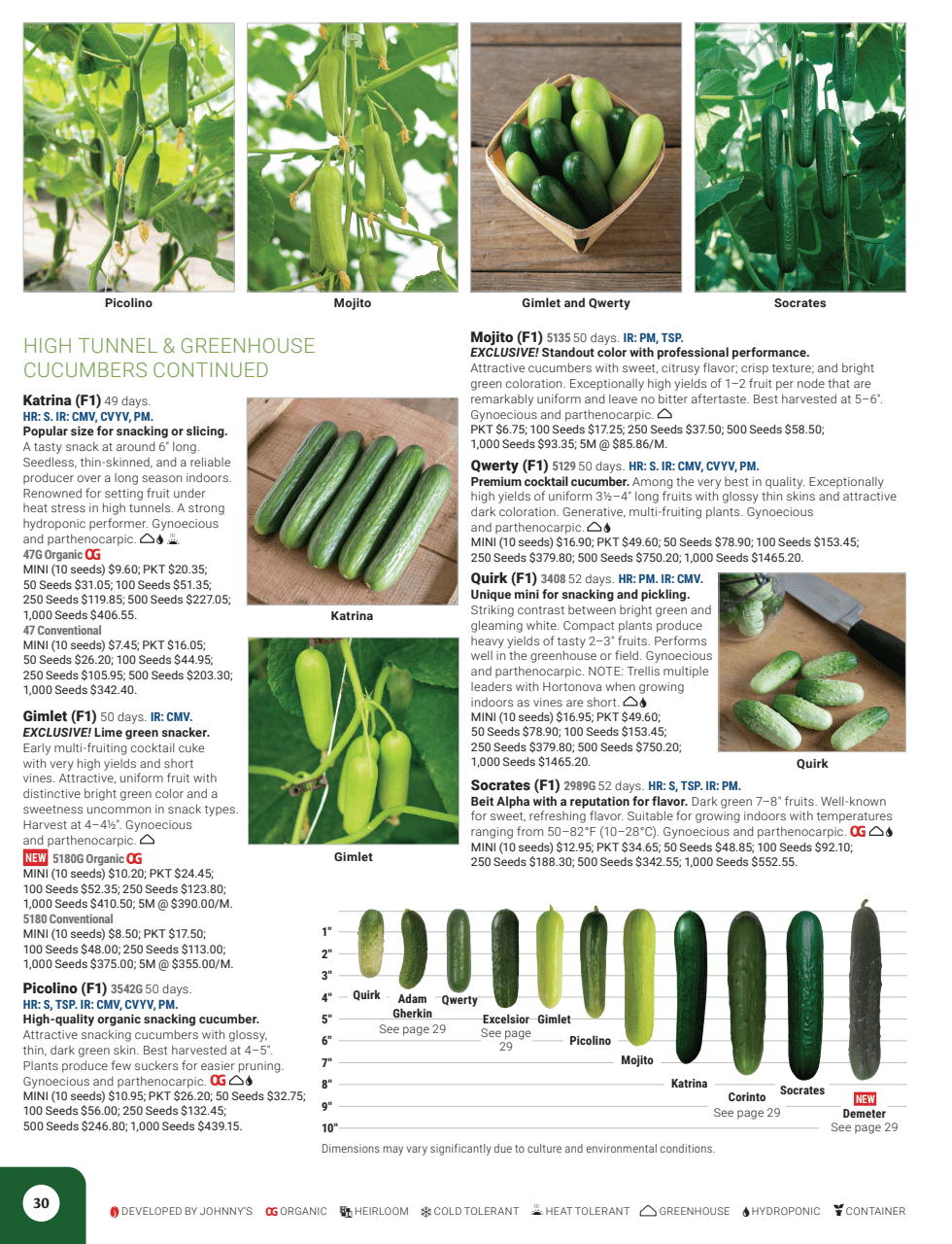 Flyer page 32