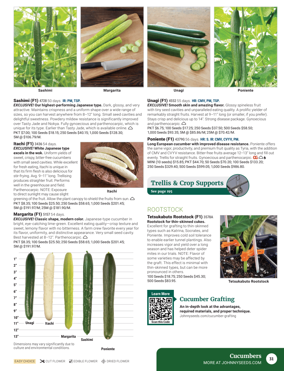 Flyer page 33