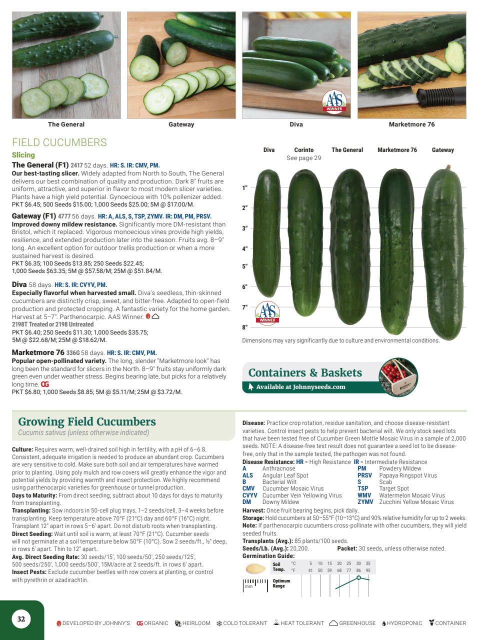 Flyer page 34