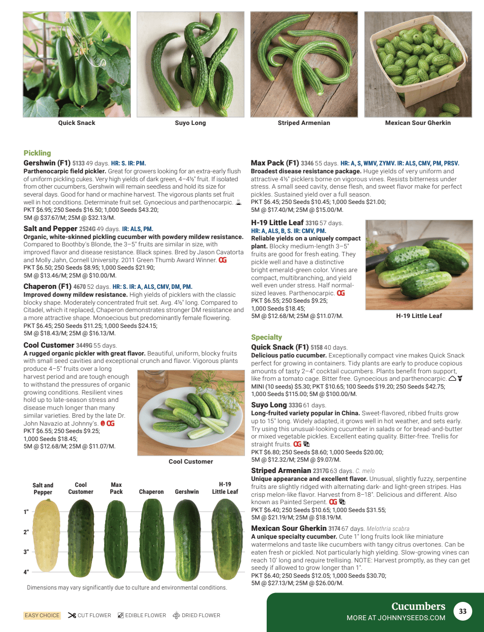 Flyer page 35