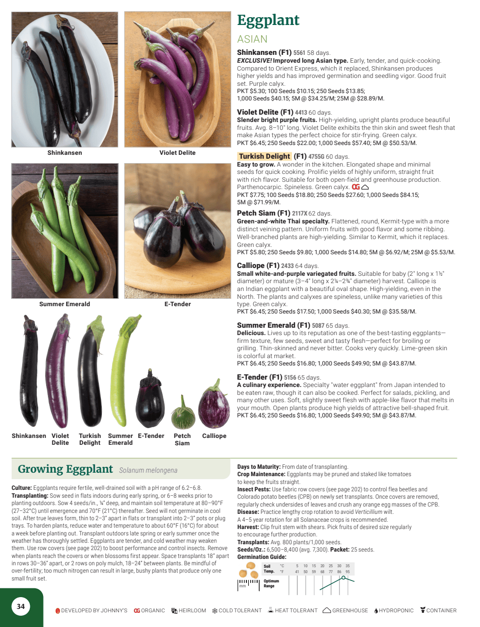 Flyer page 36