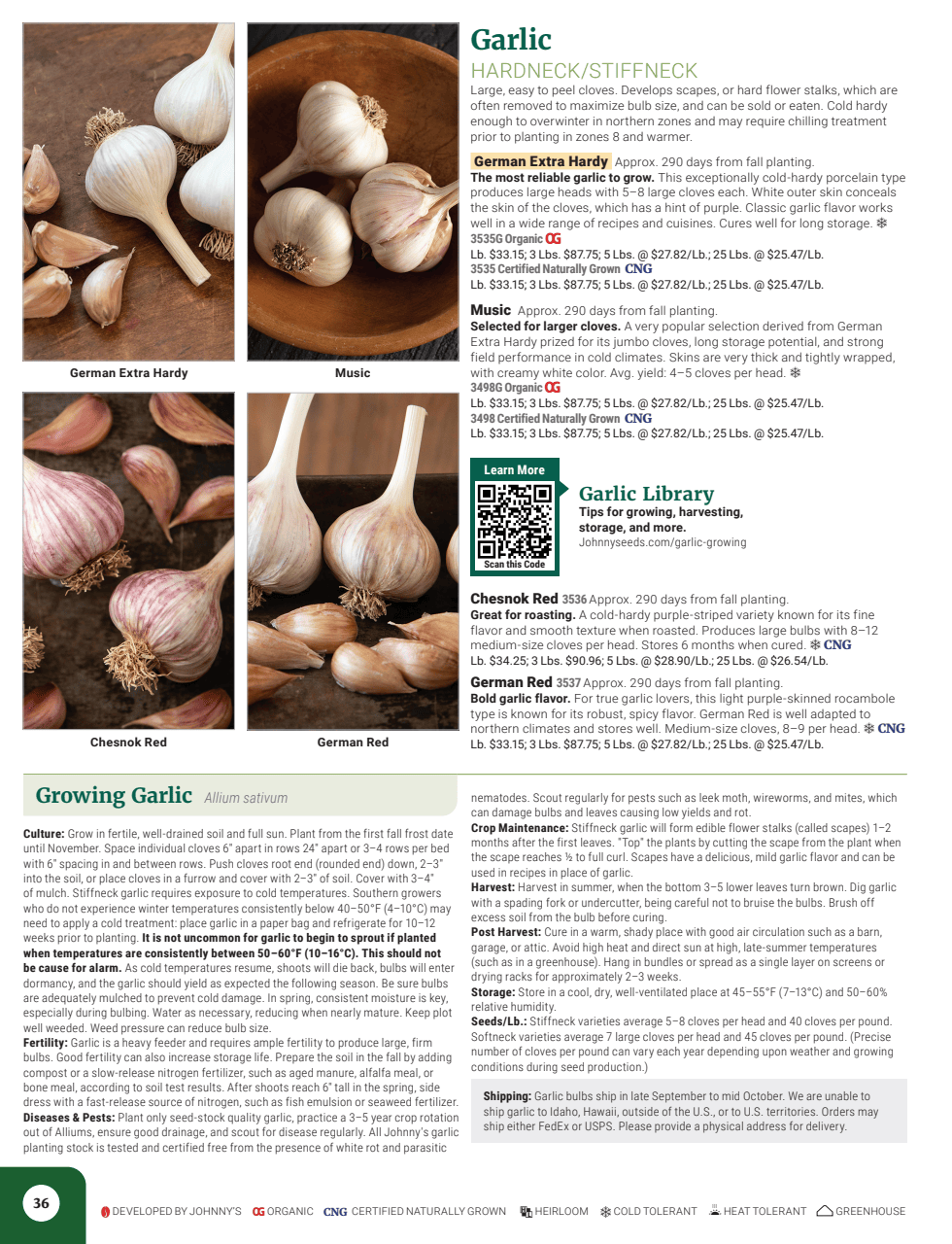 Flyer page 38