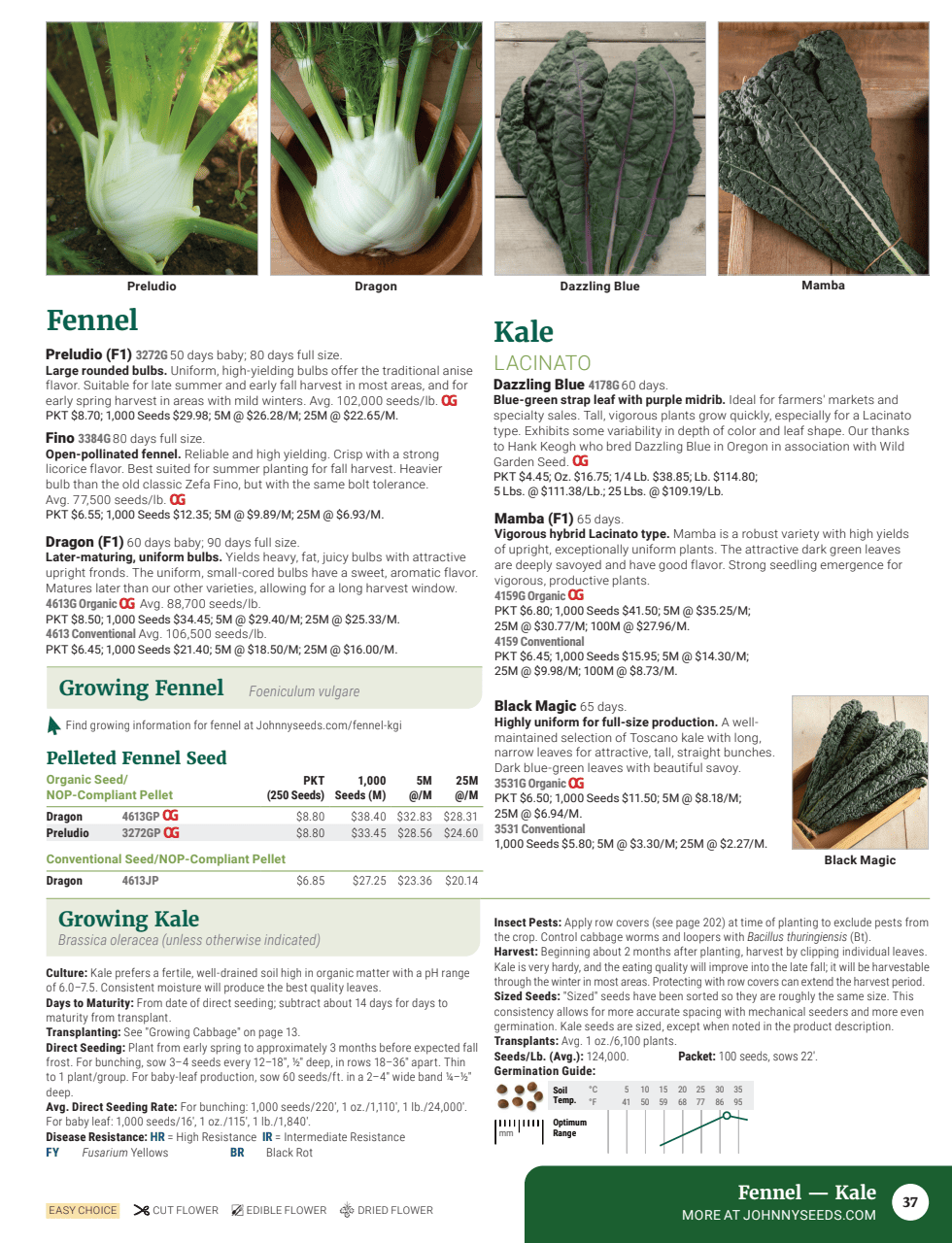 Flyer page 39
