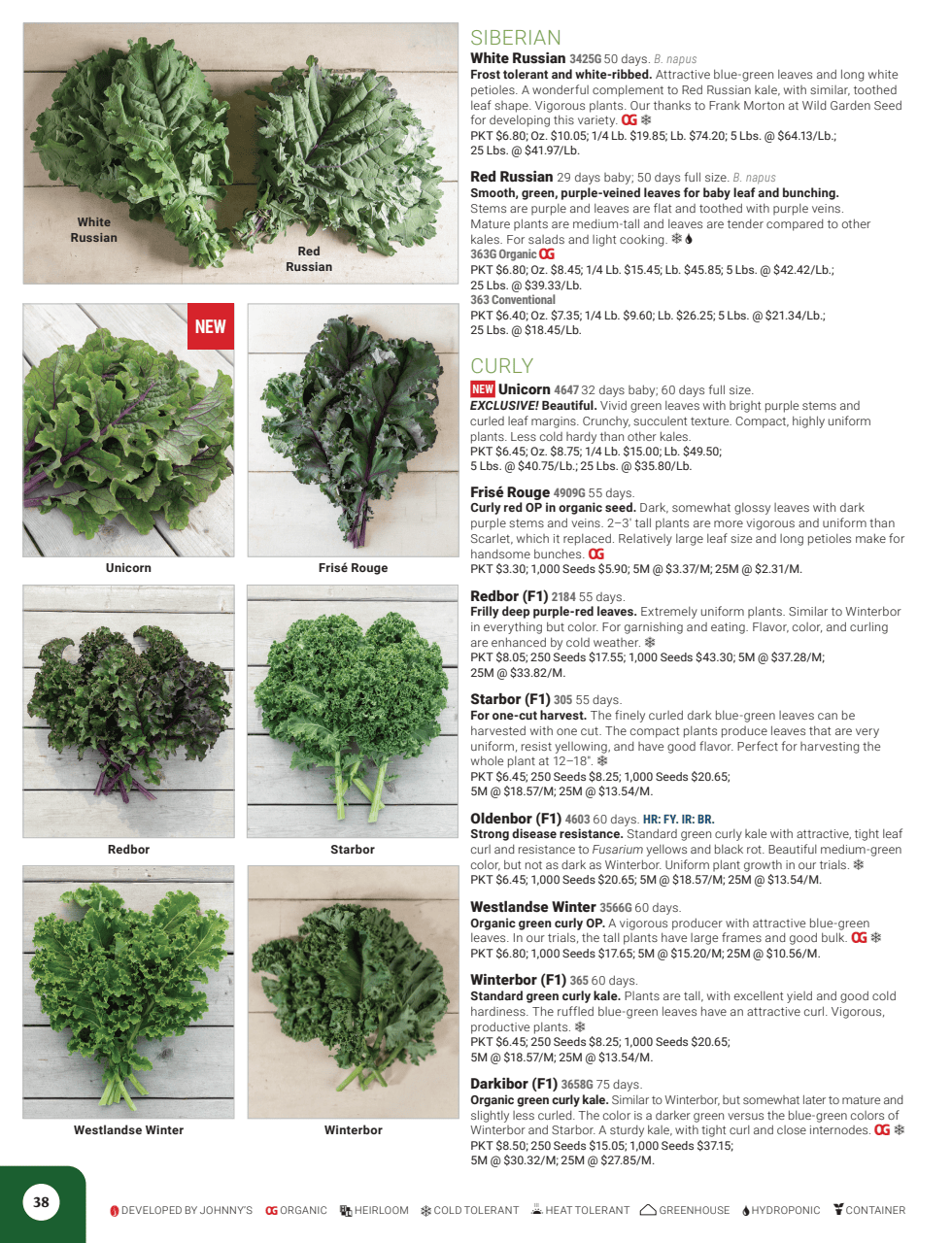 Flyer page 40
