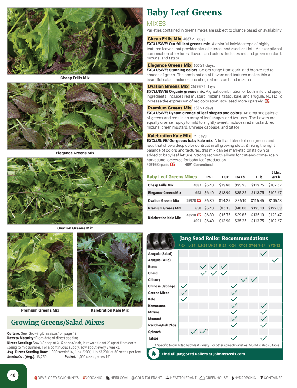 Flyer page 42