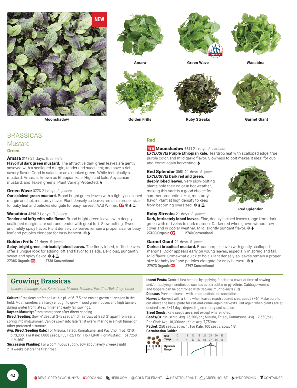 Flyer page 44