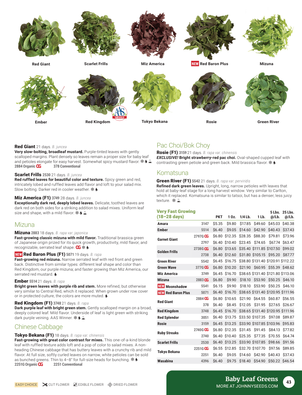 Flyer page 45