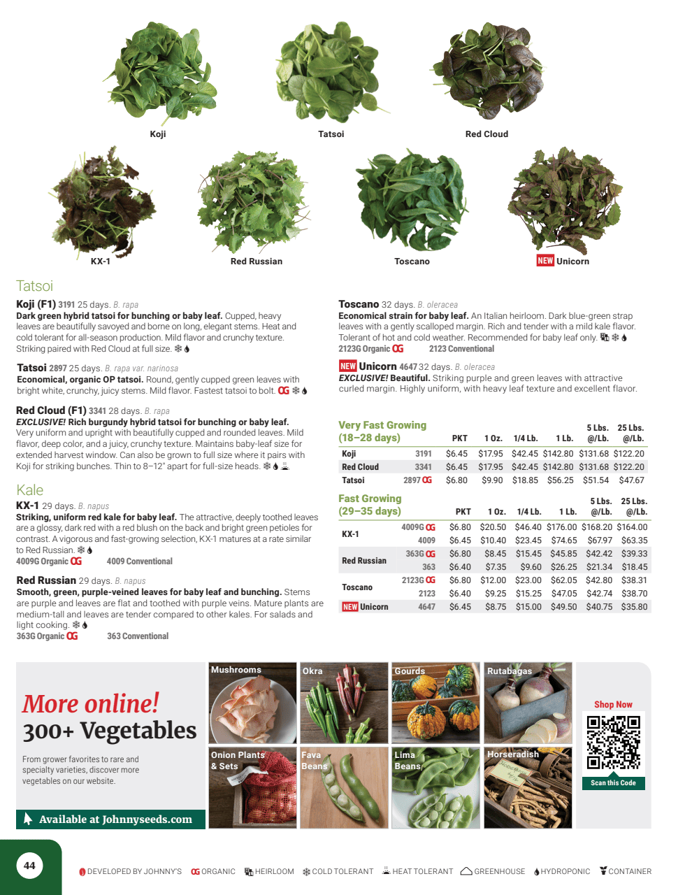 Flyer page 46