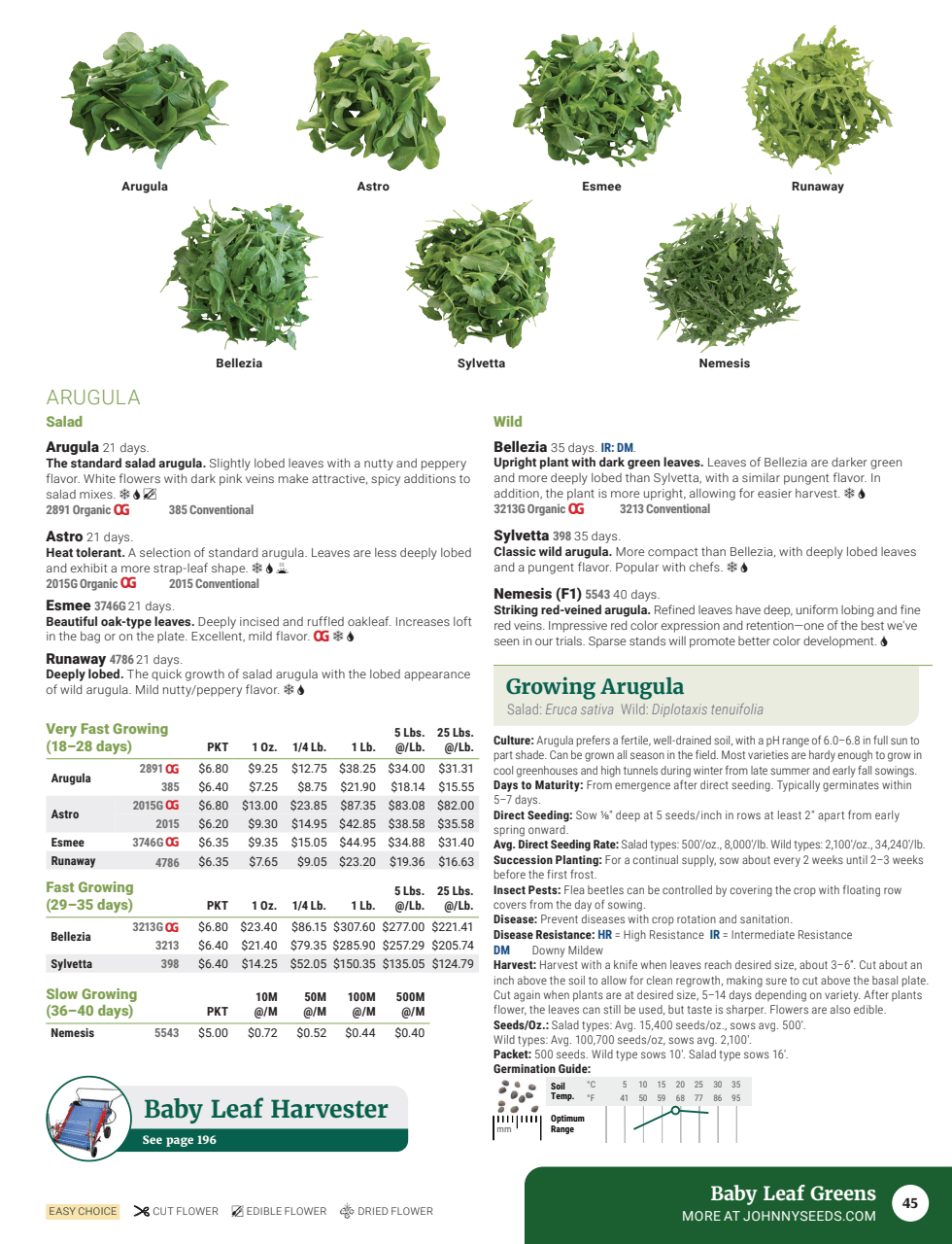 Flyer page 47
