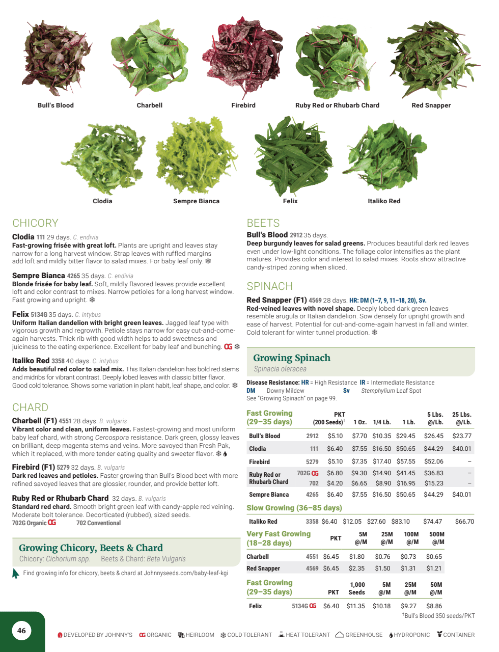 Flyer page 48