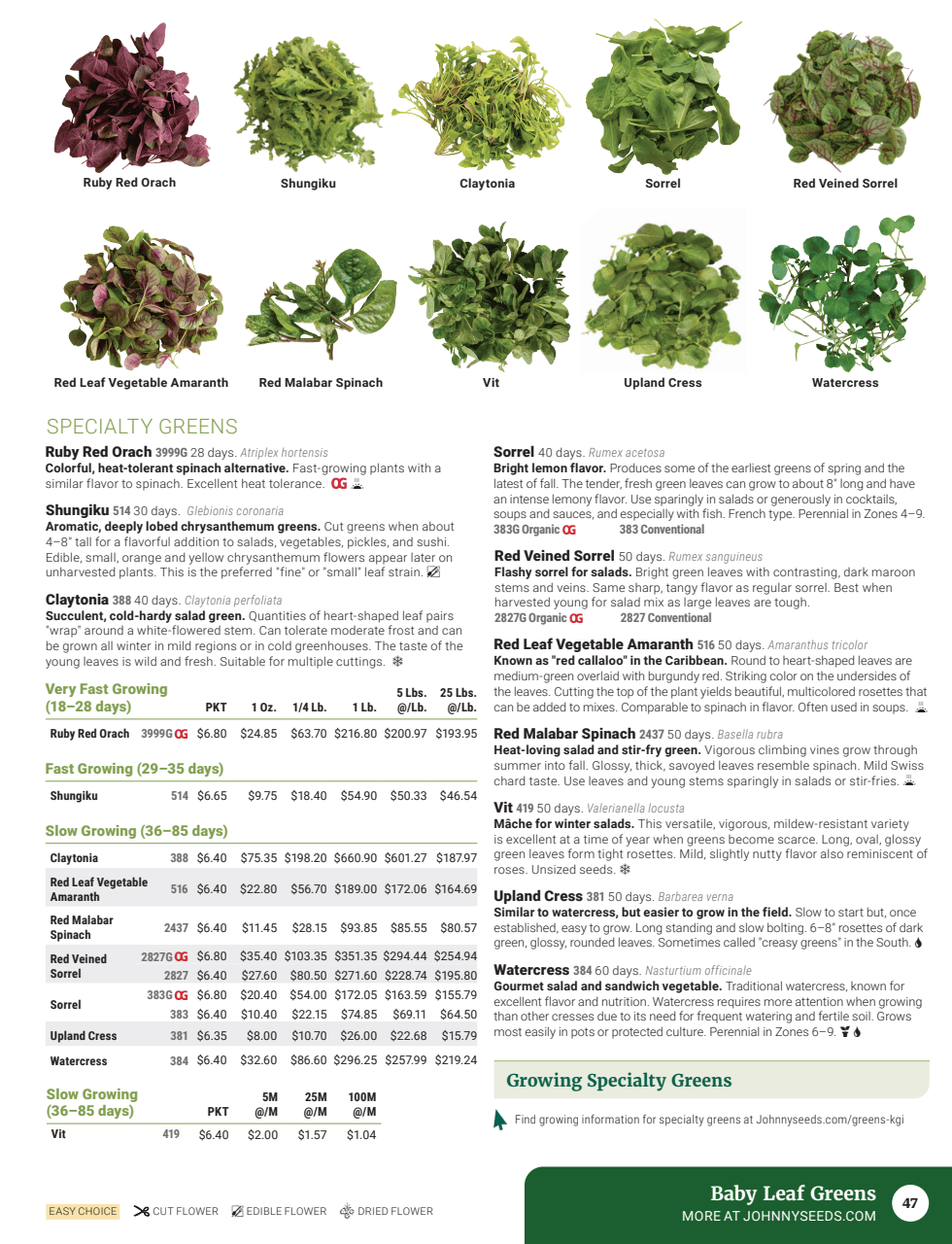 Flyer page 49
