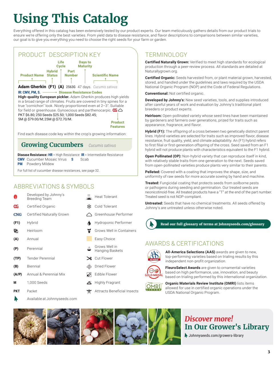 Flyer page 5