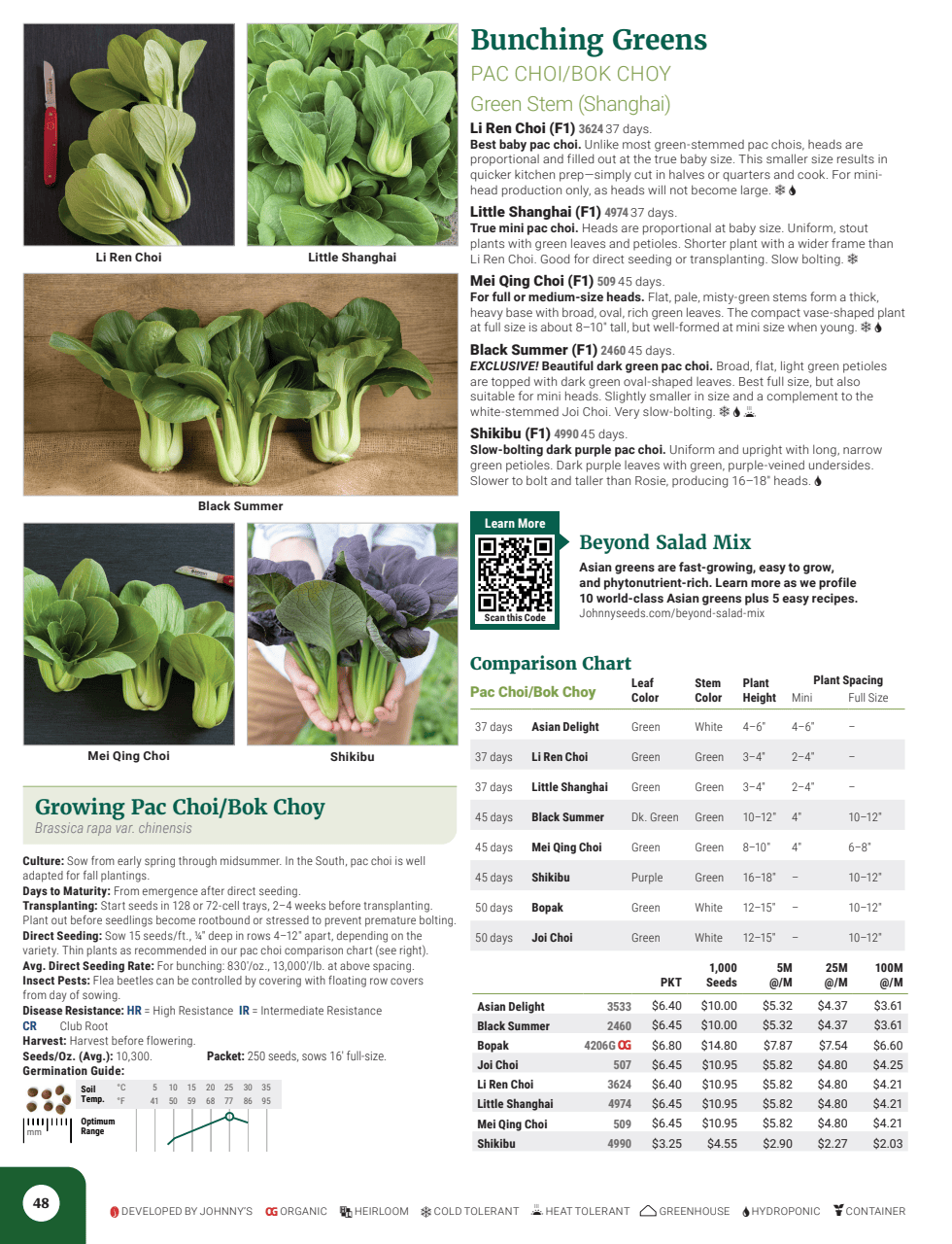 Flyer page 50