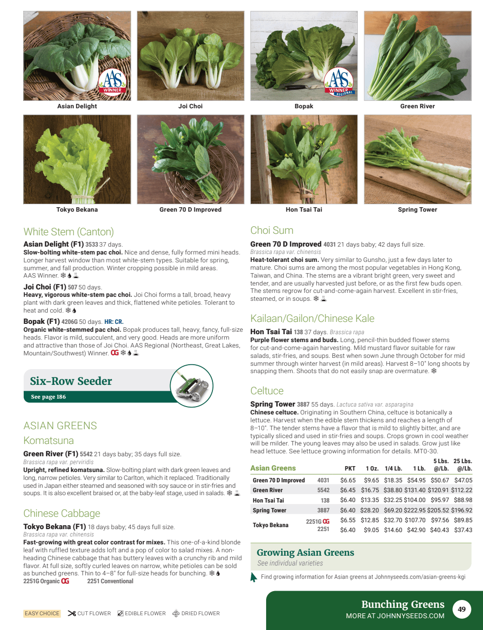 Flyer page 51