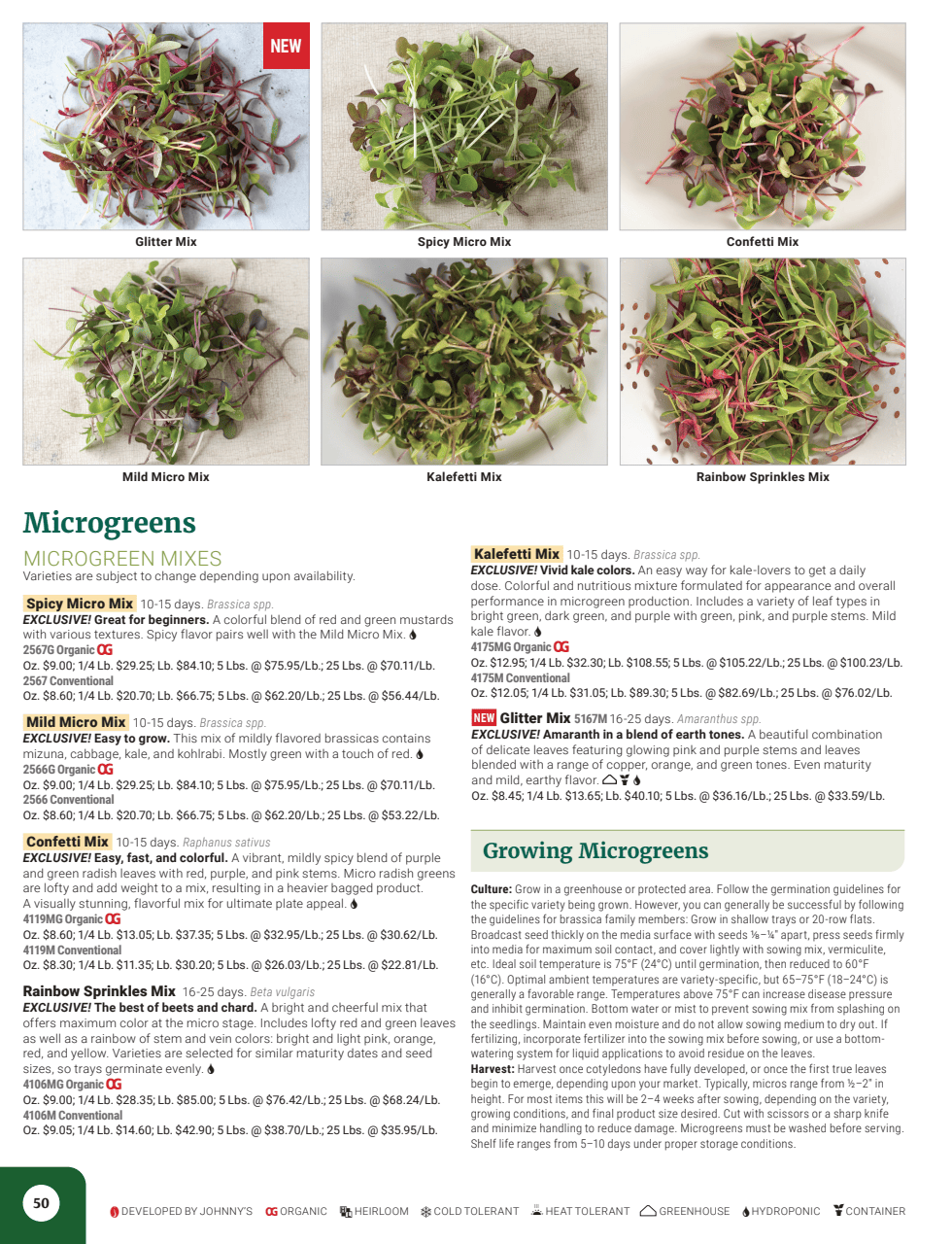 Flyer page 52