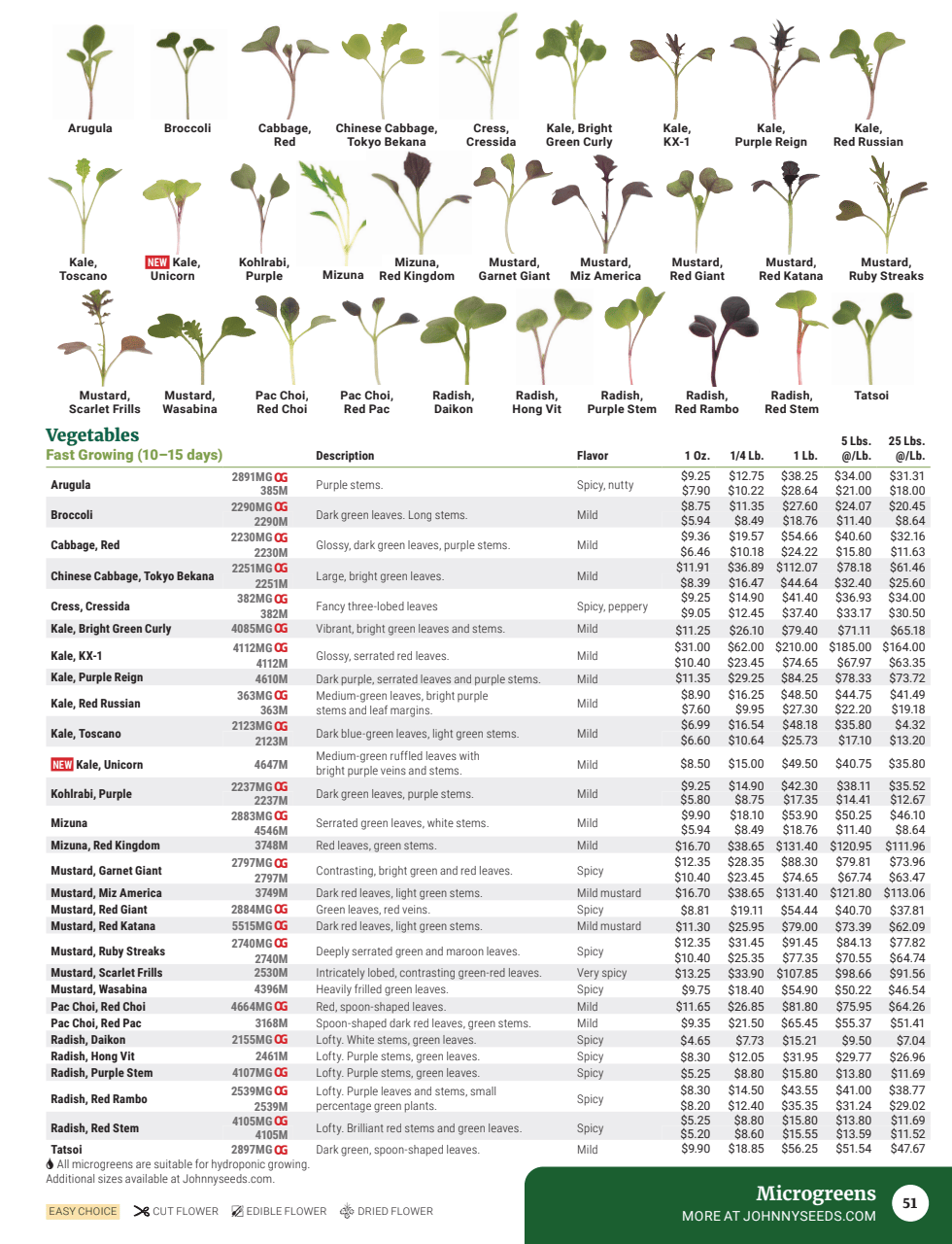 Flyer page 53