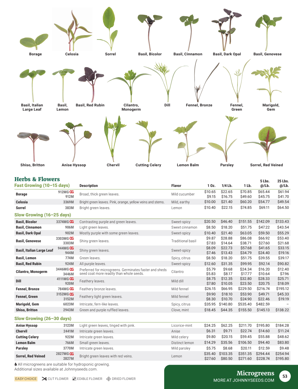 Flyer page 55