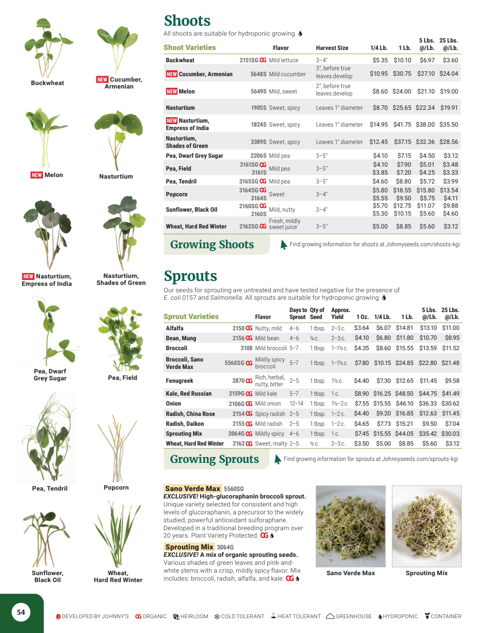 Flyer page 56