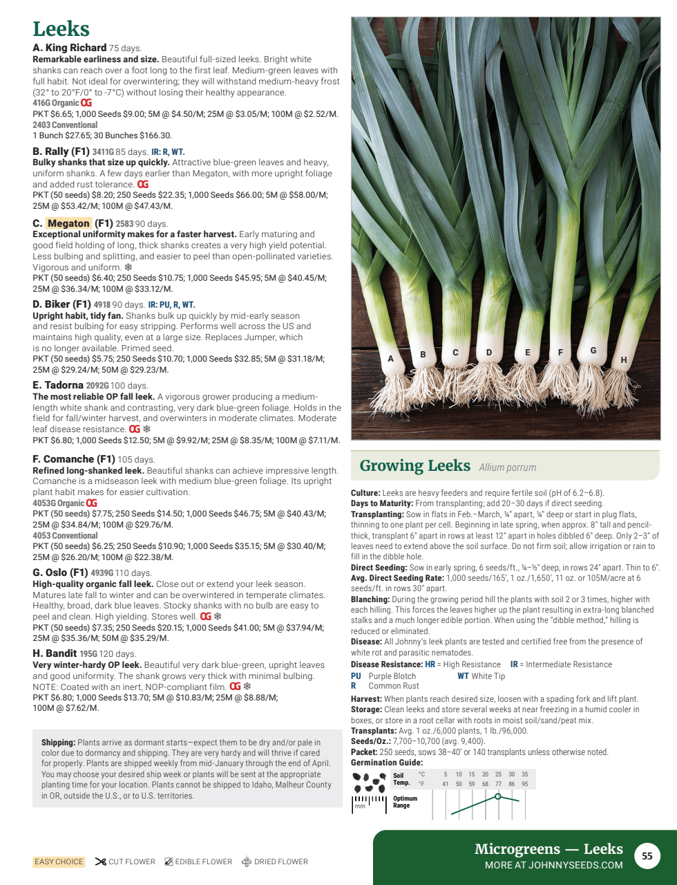 Flyer page 57