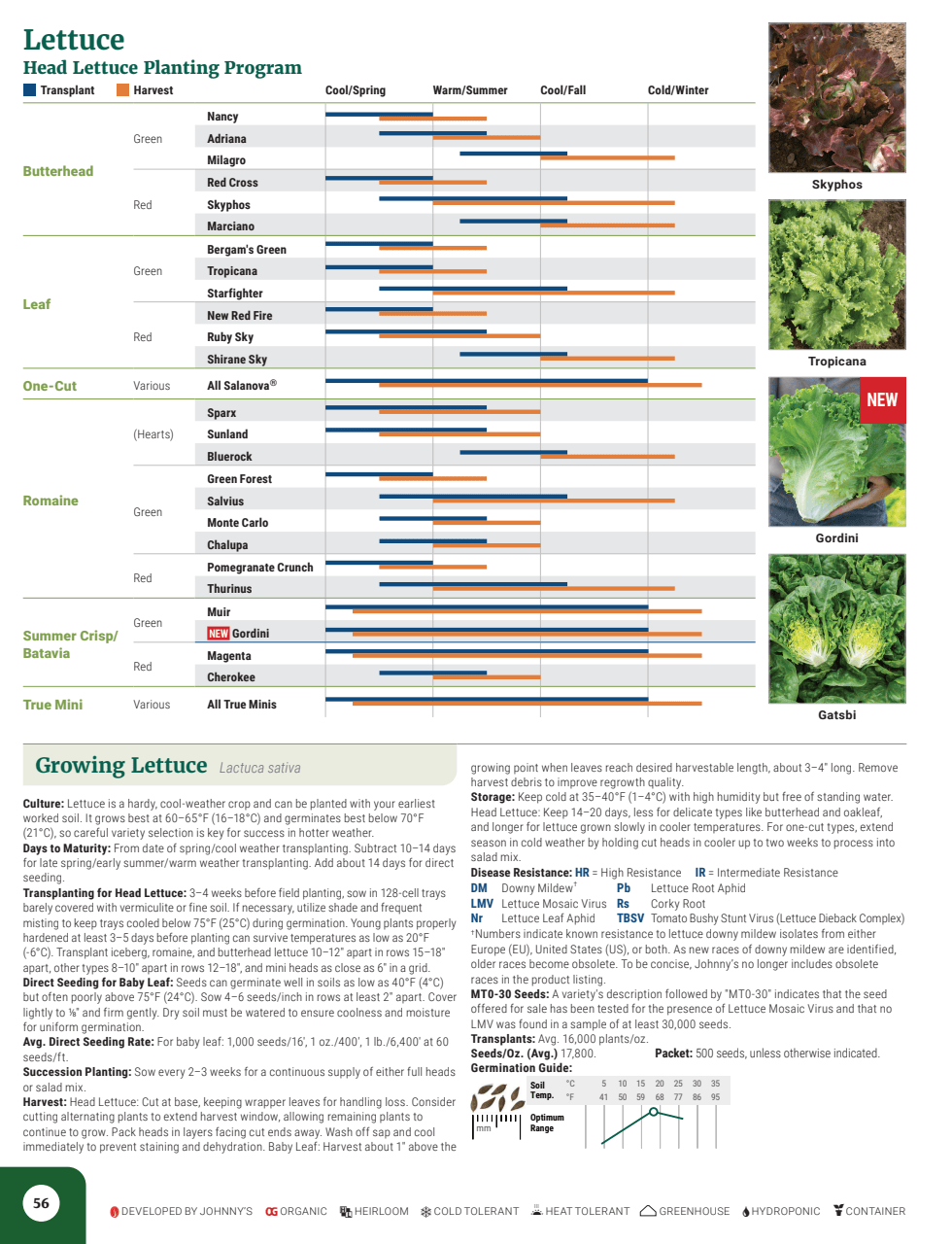Flyer page 58