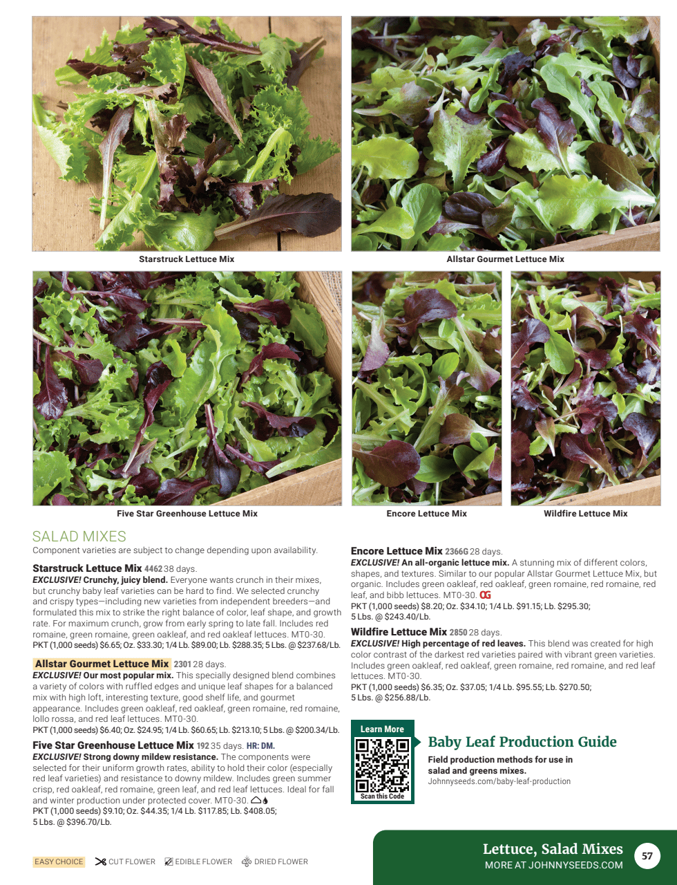 Flyer page 59