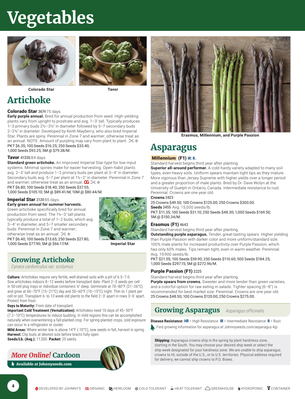 Flyer page 6