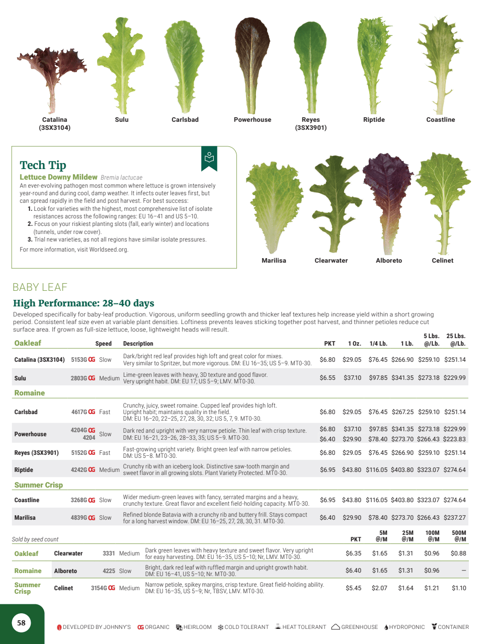 Flyer page 60