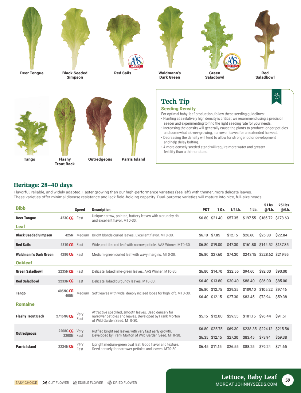 Flyer page 61