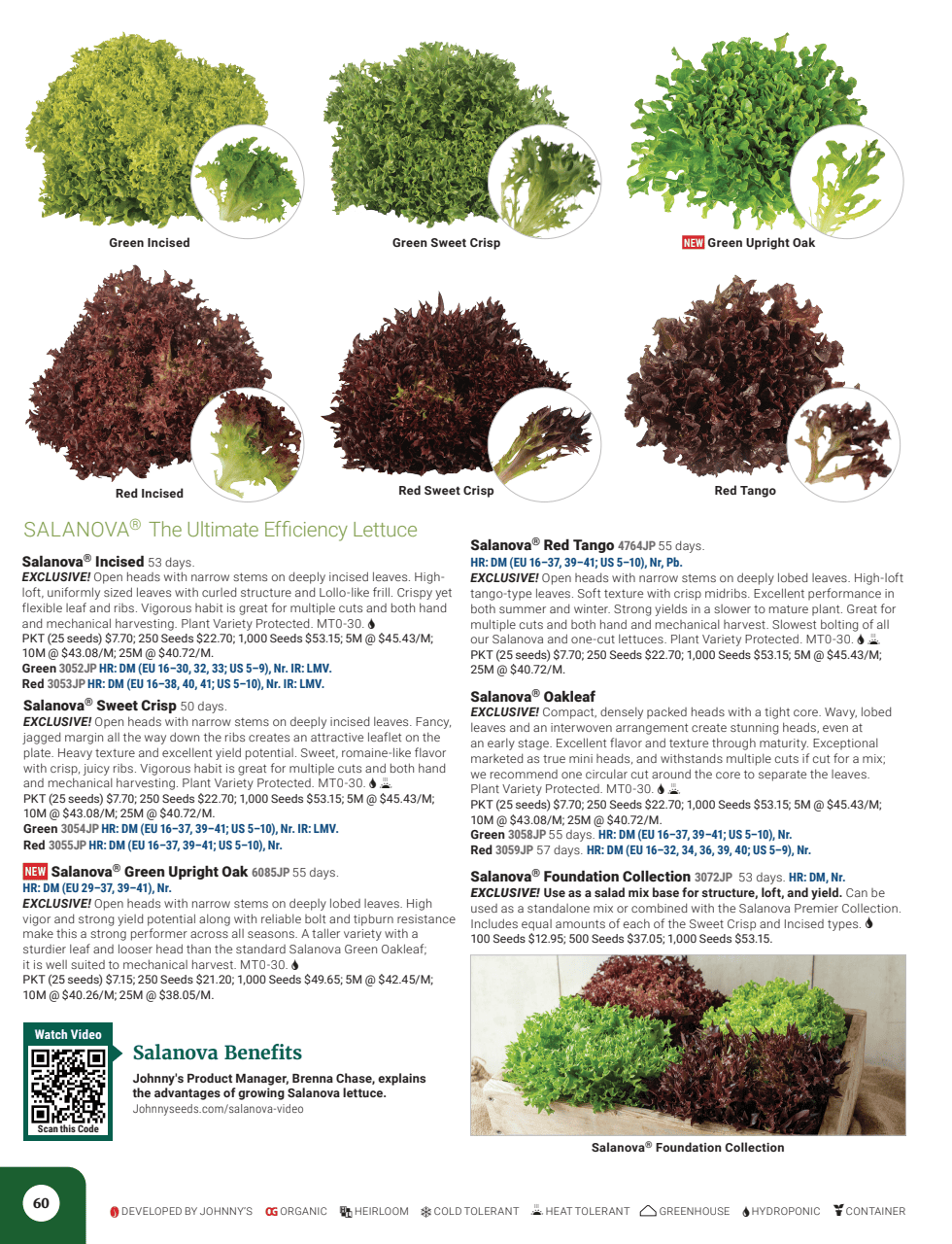 Flyer page 62
