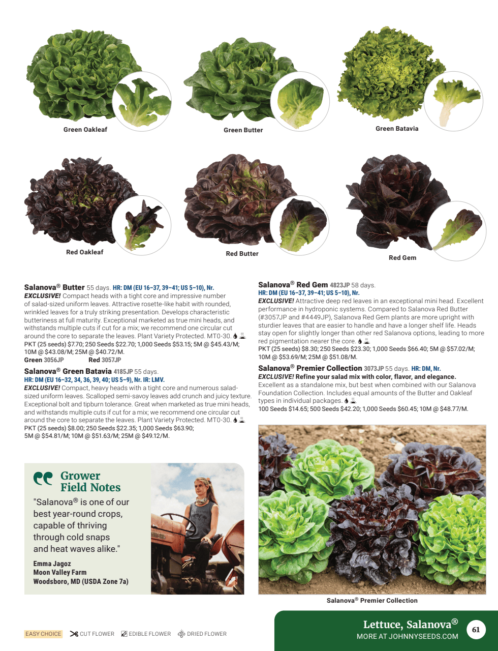 Flyer page 63