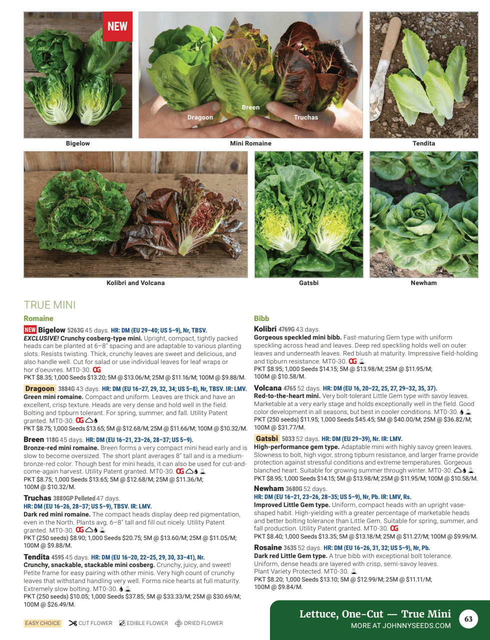 Flyer page 65