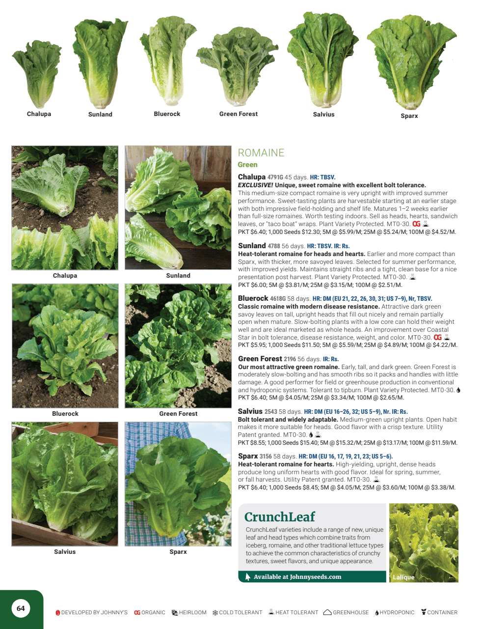 Flyer page 66