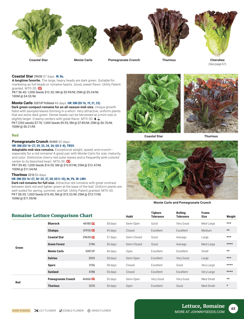 Flyer page 67