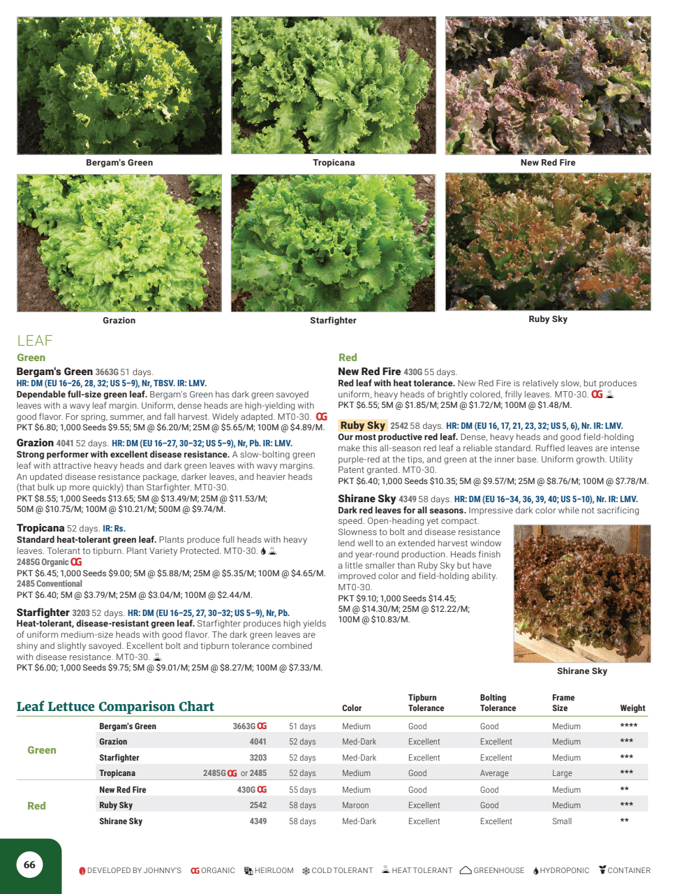 Flyer page 68