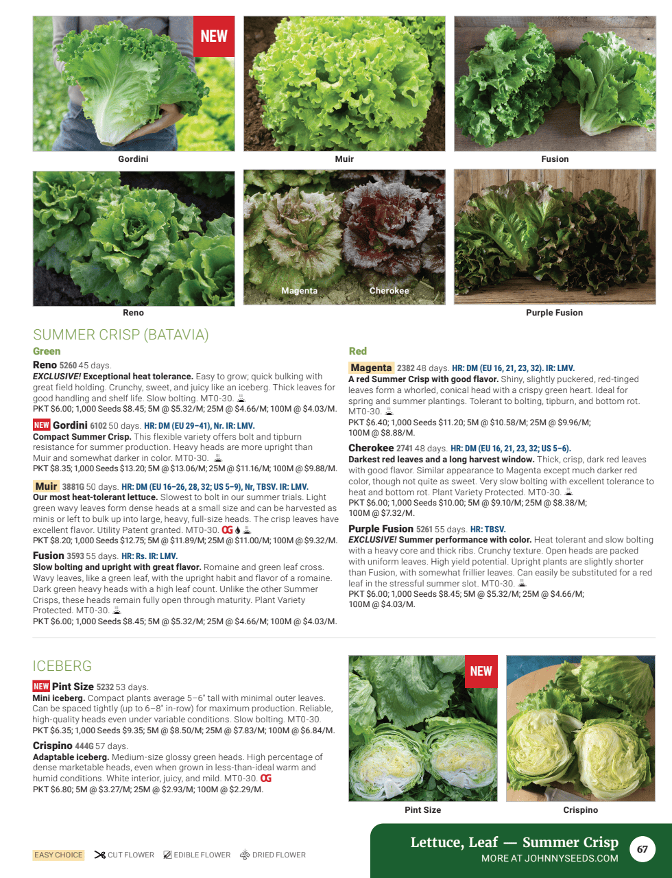 Flyer page 69