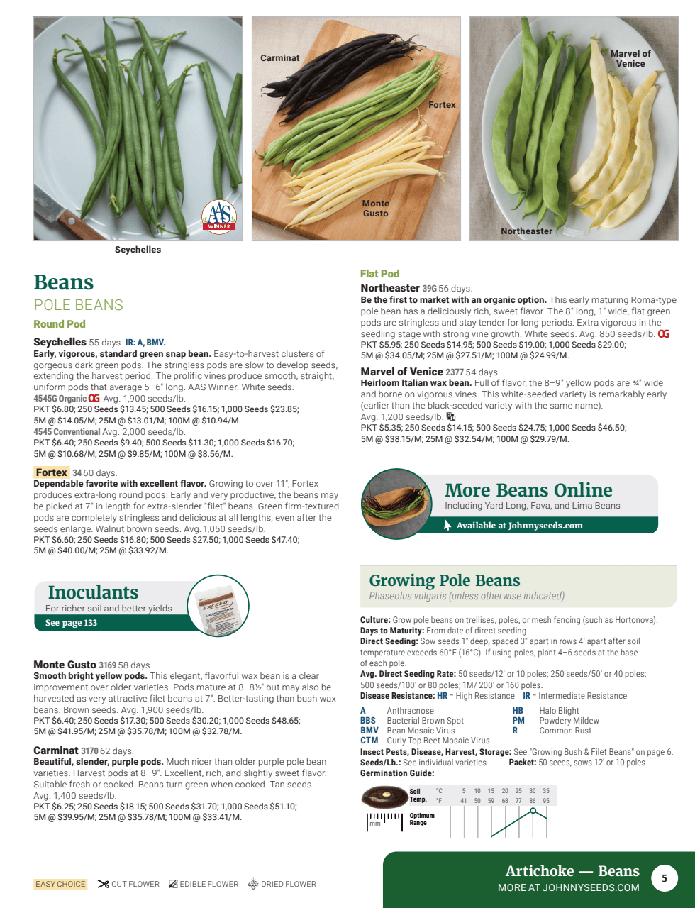 Flyer page 7