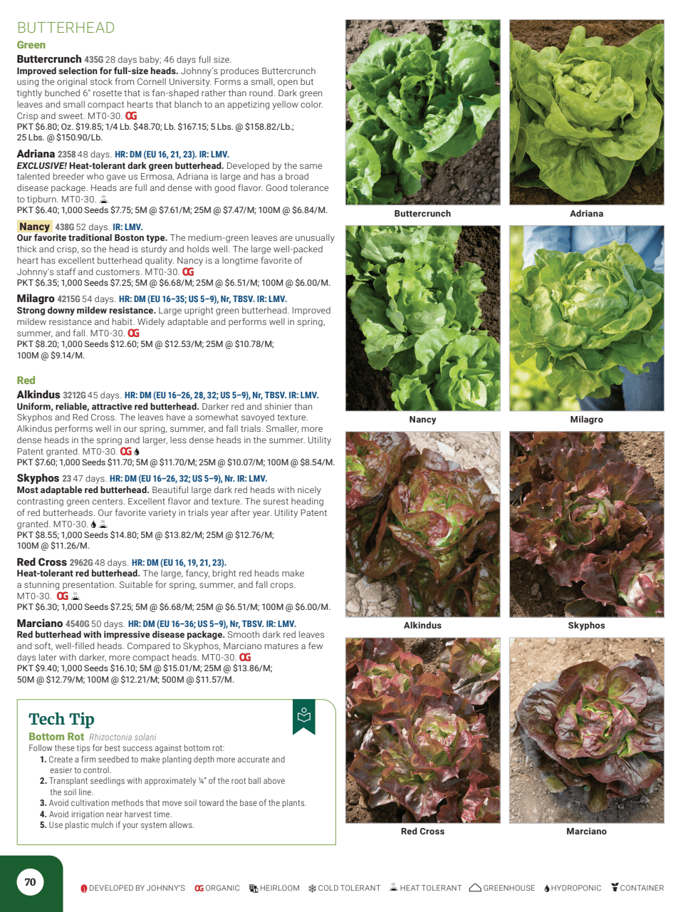 Flyer page 72