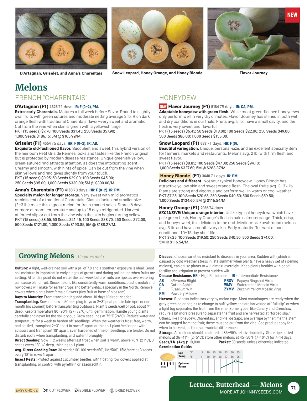 Flyer page 73