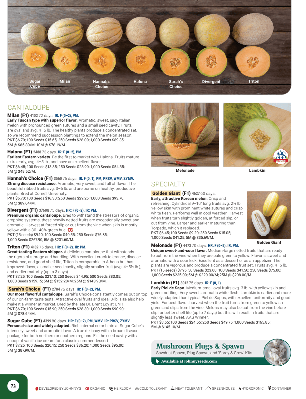 Flyer page 74