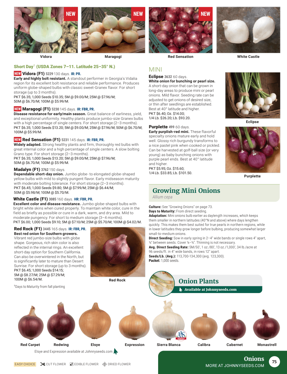 Flyer page 77