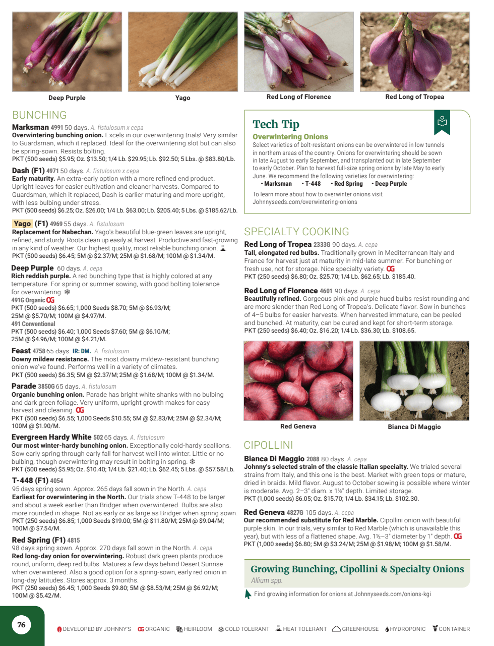 Flyer page 78