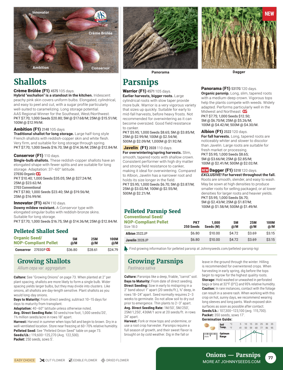 Flyer page 79