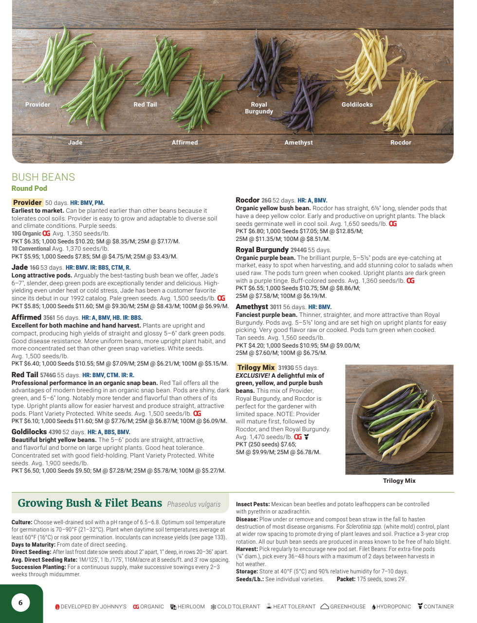 Flyer page 8