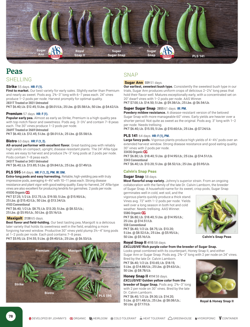 Flyer page 80