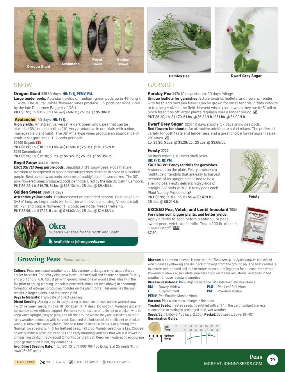 Flyer page 81