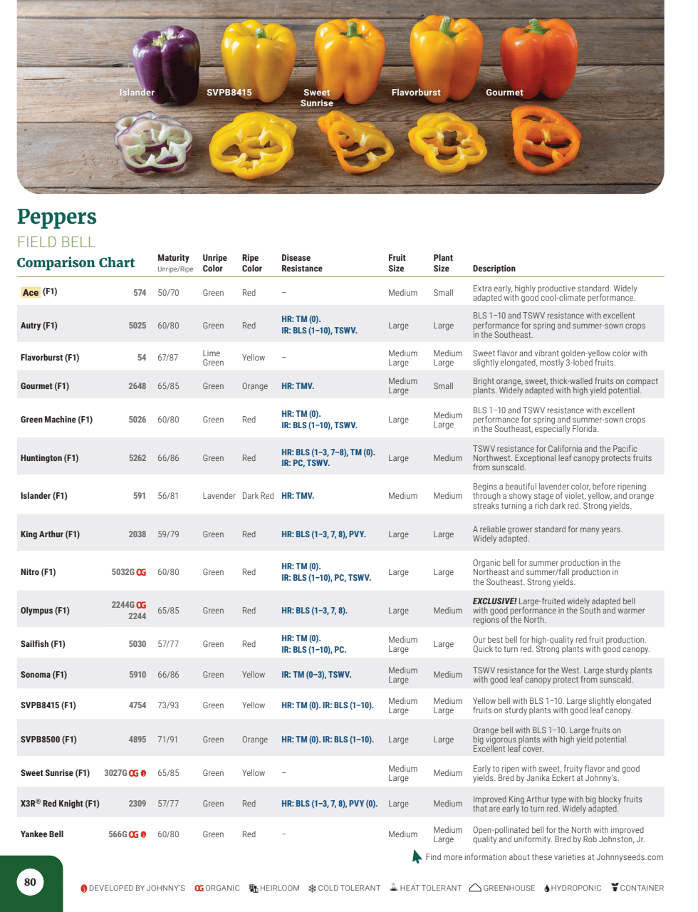 Flyer page 82
