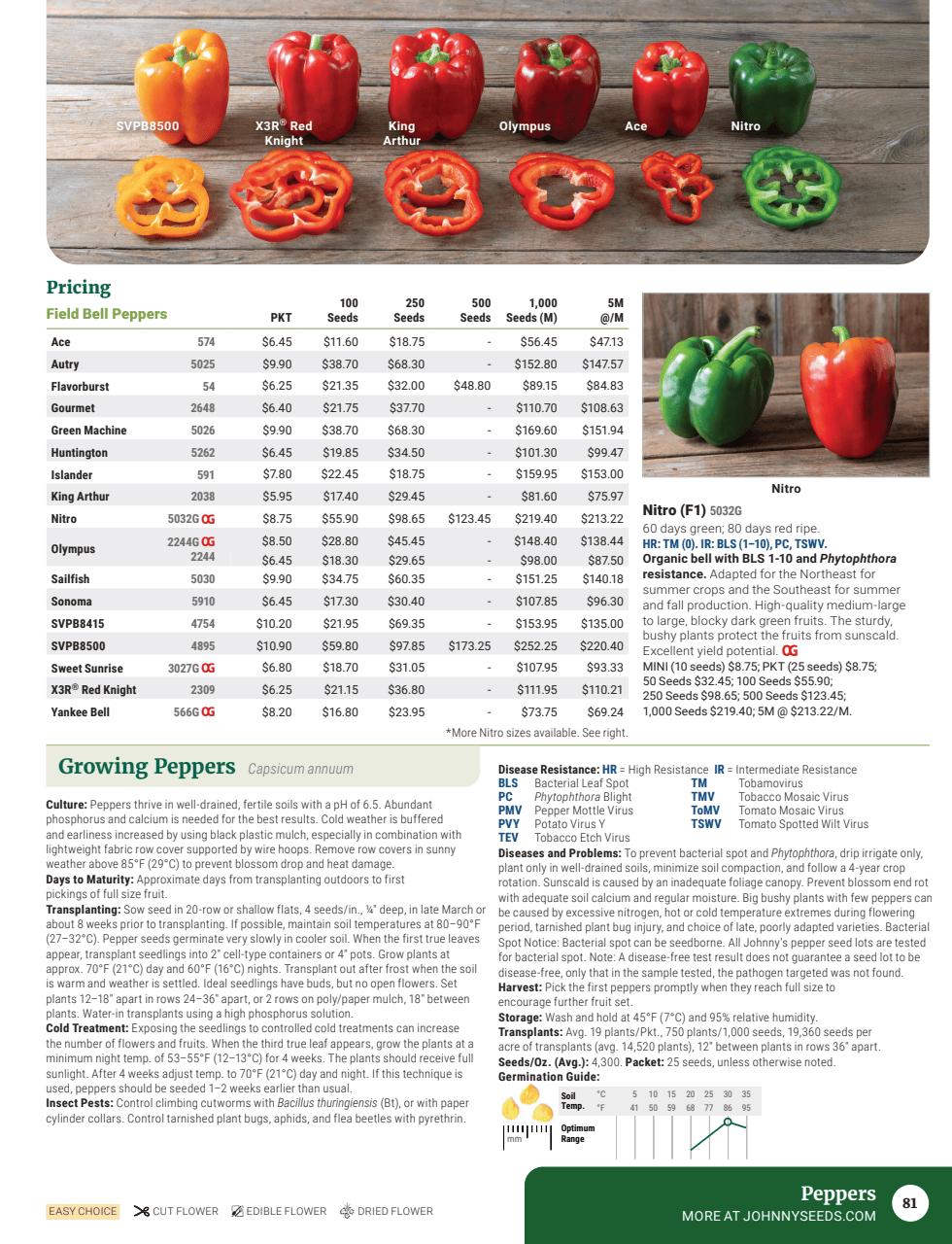 Flyer page 83