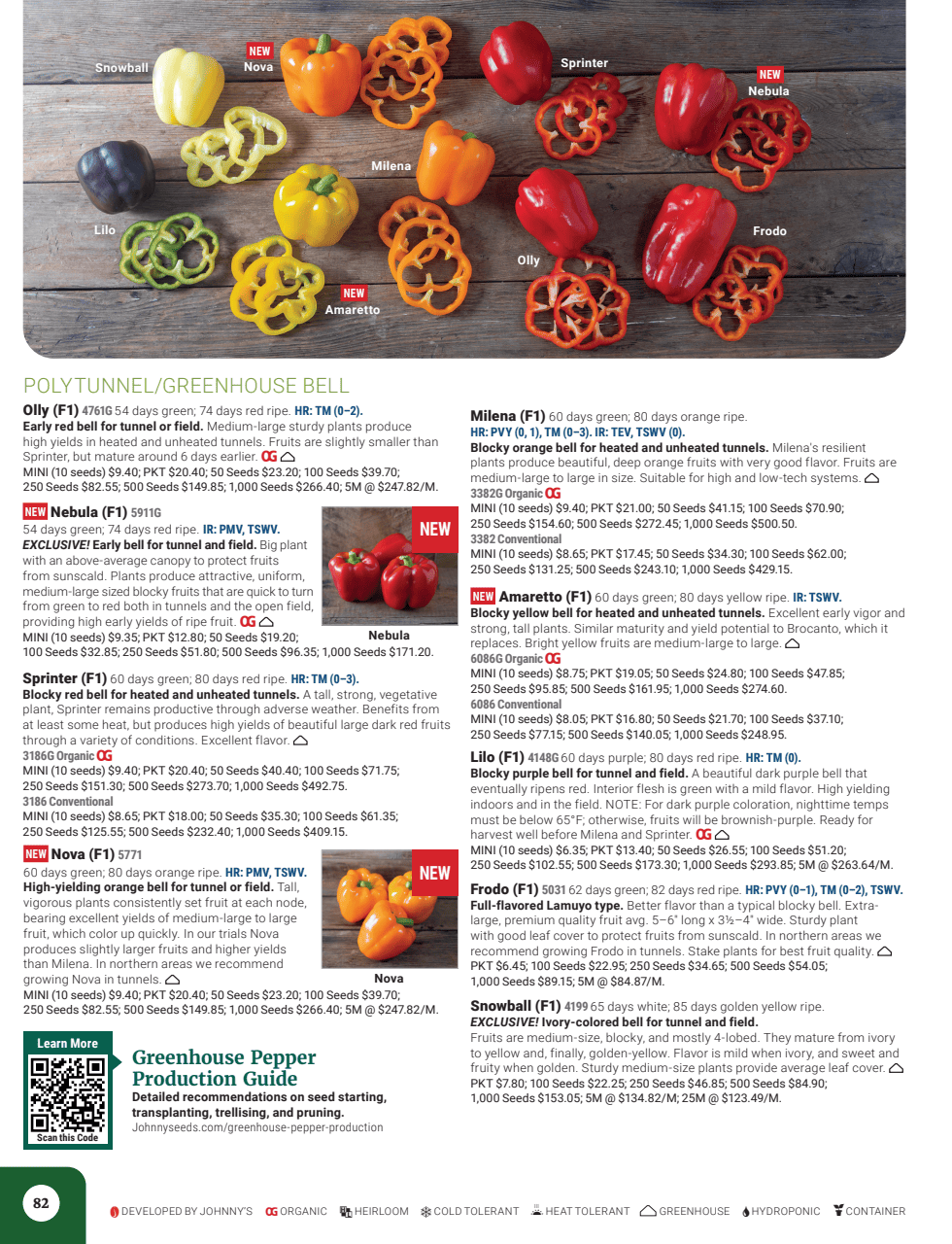 Flyer page 84