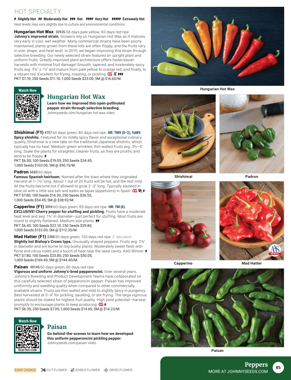 Flyer page 87